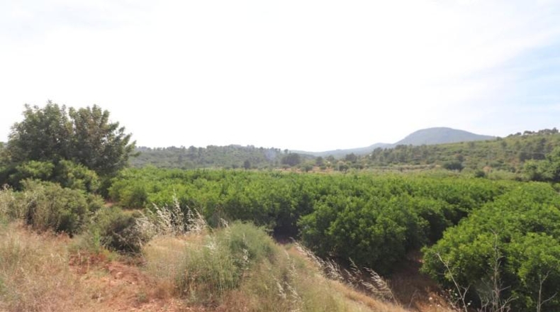 Valencia - Alborache - 17000m2