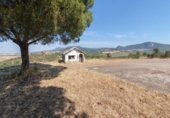 Chalet independiente con terreno en venta en la España, Navalvillar de Pela, ref: TR413701 foto
