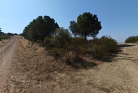 Foto 13