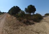 Chalet independiente con terreno en venta en la España, Navalvillar de Pela, ref: TR413701 foto