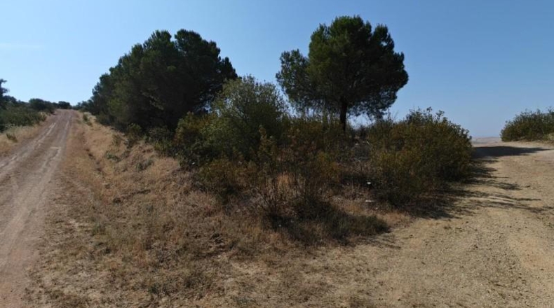 Badajoz - Navalvillar de Pela - 5495m2