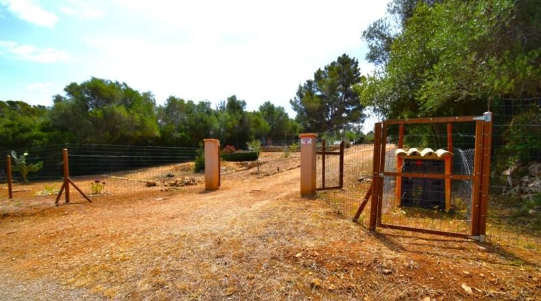 Islas Baleares - Petra - 2128m2