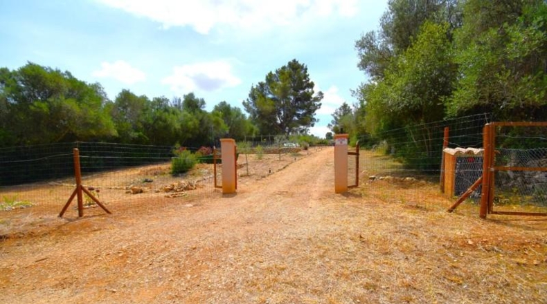 Islas Baleares - Petra - 2128m2