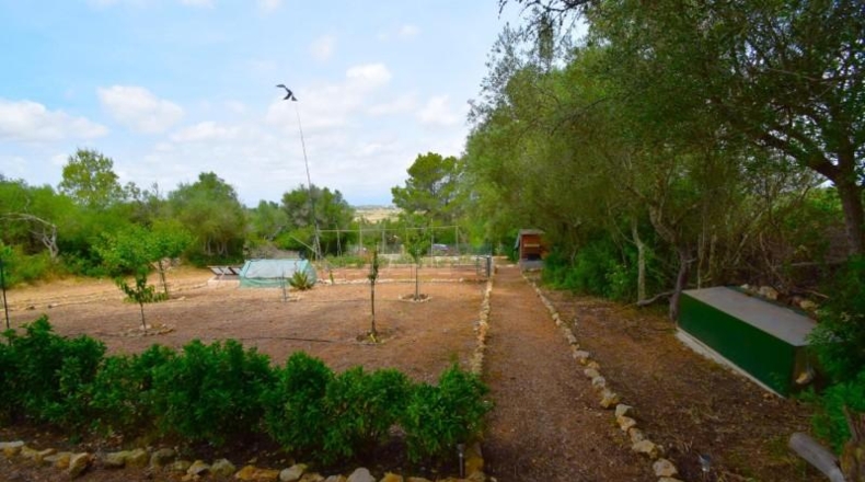 Islas Baleares - Petra - 2128m2
