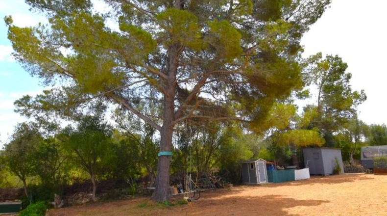 Islas Baleares - Petra - 2128m2