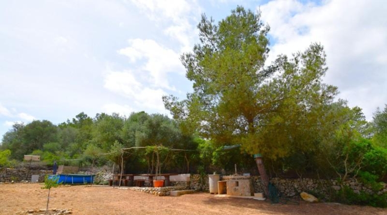 Islas Baleares - Petra - 2128m2