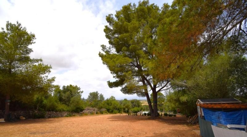 Islas Baleares - Petra - 2128m2