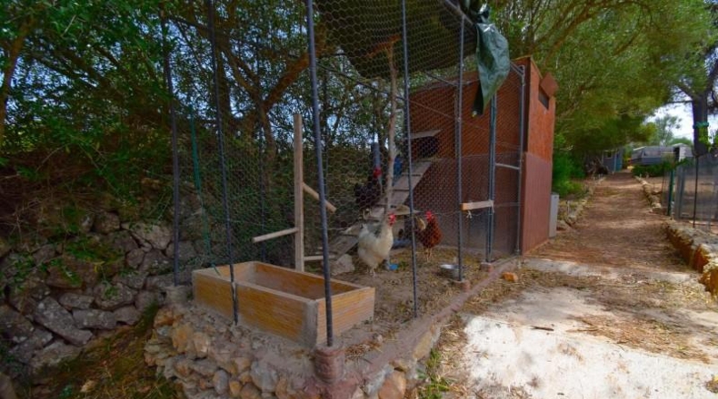 Islas Baleares - Petra - 2128m2