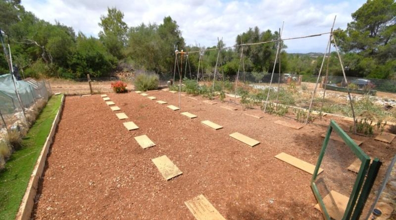 Islas Baleares - Petra - 2128m2