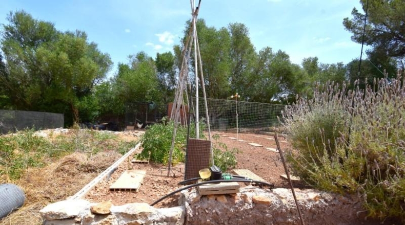 Islas Baleares - Petra - 2128m2