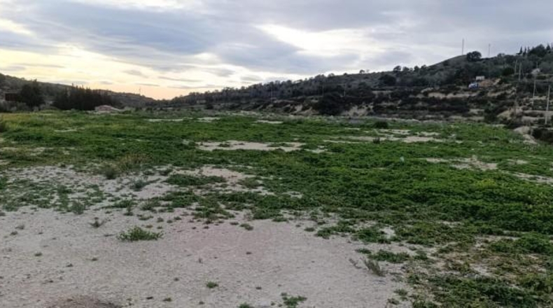 Alicante - Algueña - 7461m2