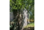 Casa de campo con terreno en venta en la España, Vilar de Sarria, ref: TR137034 foto