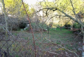 Foto 13