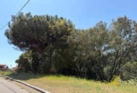 Sant Pere de Vilamajor 817&nbsp;m²