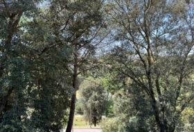 Sant Pere de Vilamajor 817&nbsp;m²