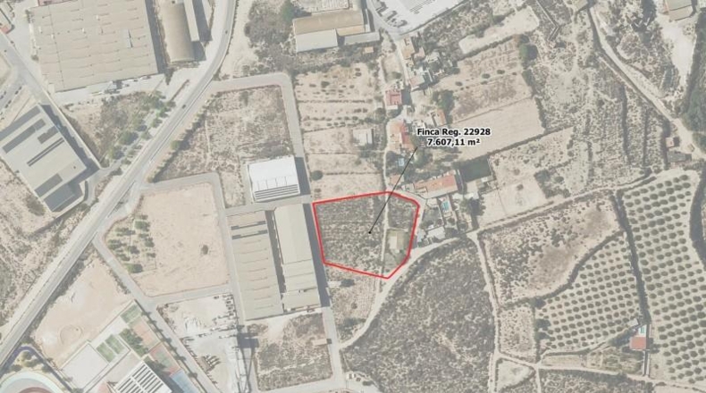 Alicante - Crevillente - 300m2