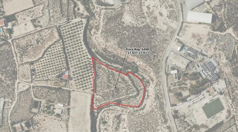 Alicante - Crevillente - 300m2