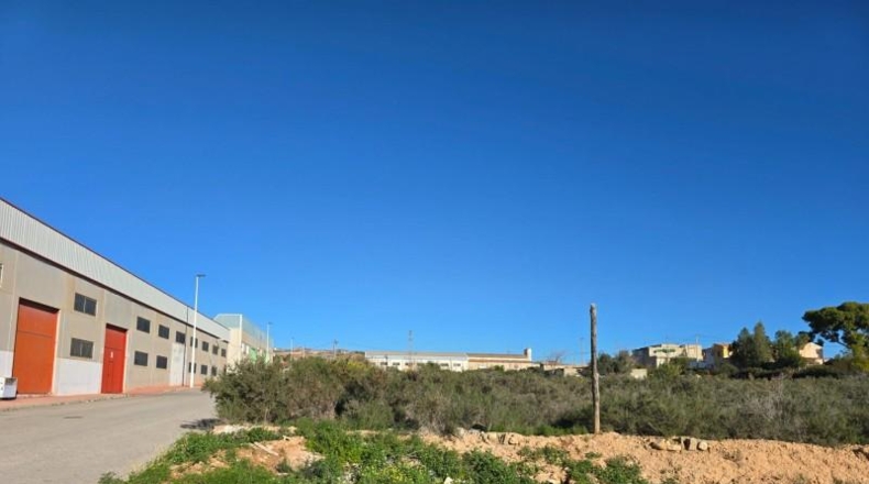 Alicante - Crevillente - 300m2