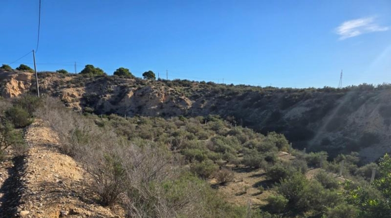 Alicante - Crevillente - 300m2