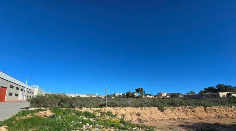 Alicante - Crevillente - 300m2