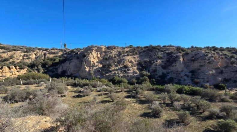 Alicante - Crevillente - 300m2