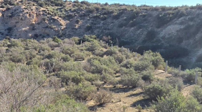 Alicante - Crevillente - 300m2