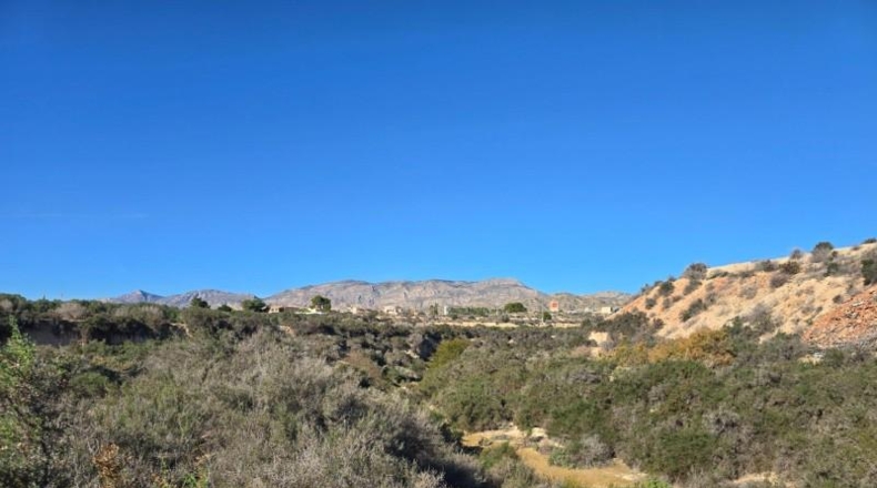 Alicante - Crevillente - 300m2