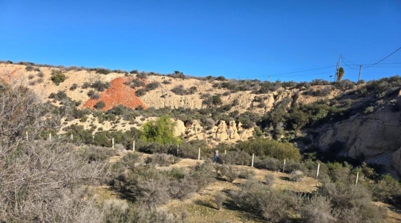 Alicante - Crevillente - 300m2