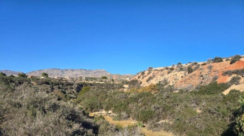 Alicante - Crevillente - 300m2