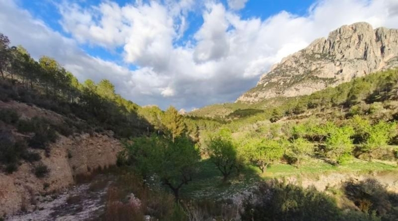 Alicante - Finestrat - 27800m2