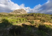 Non-developable land for sale on España, Finestrat, ref: TR240805 photo