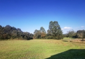 Finca rústica en venta en la España, Guitiriz, ref: TR155464 foto