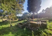 Finca rústica en venta en la España, Guitiriz, ref: TR155464 foto