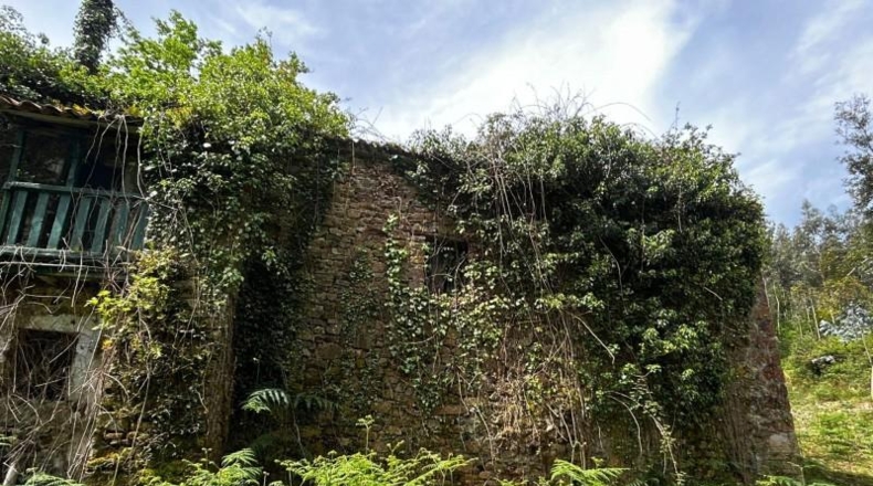 Vizcaya - Bermeo - 16000000m2