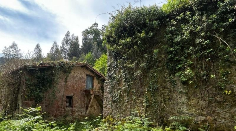 Vizcaya - Bermeo - 16000000m2