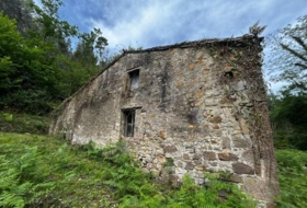 Foto 13