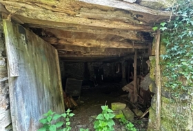 Foto 15