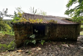 Foto 18