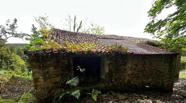 Vizcaya - Bermeo - 16000000m2