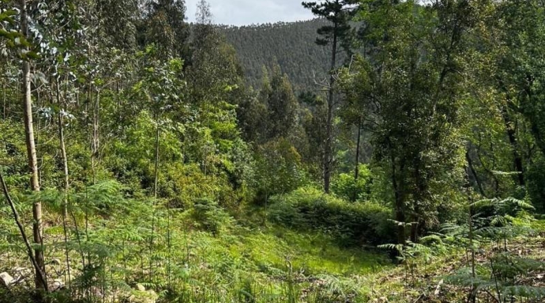 Vizcaya - Bermeo - 16000000m2
