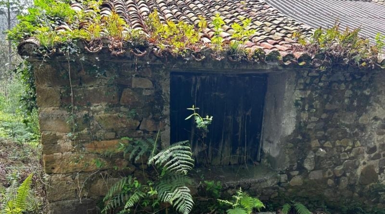 Vizcaya - Bermeo - 16000000m2