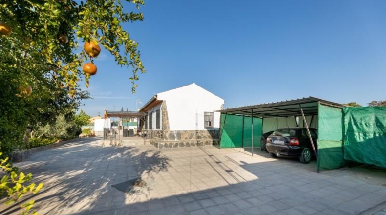 Granada - Moraleda de Zafayona - 2500m2