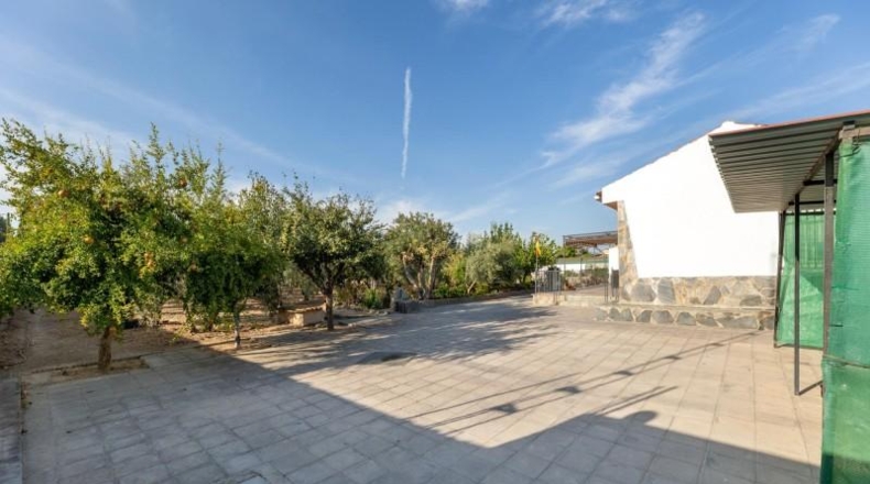 Granada - Moraleda de Zafayona - 2500m2