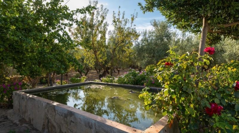 Granada - Moraleda de Zafayona - 2500m2