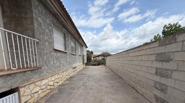 Murcia - Murcia - 600m2