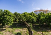 Suelo urbano en venta en la España, Talará, ref: TR408617 foto