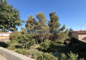 Chalet independiente con terreno en venta en la España, Corbera de Llobregat, ref: TR413729 foto