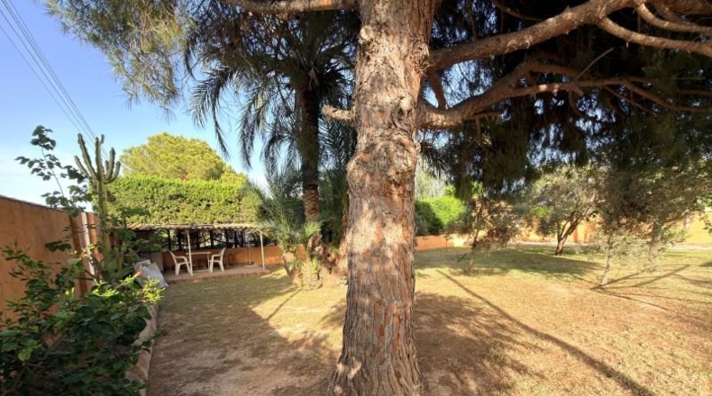Murcia - Cartagena - 900m2