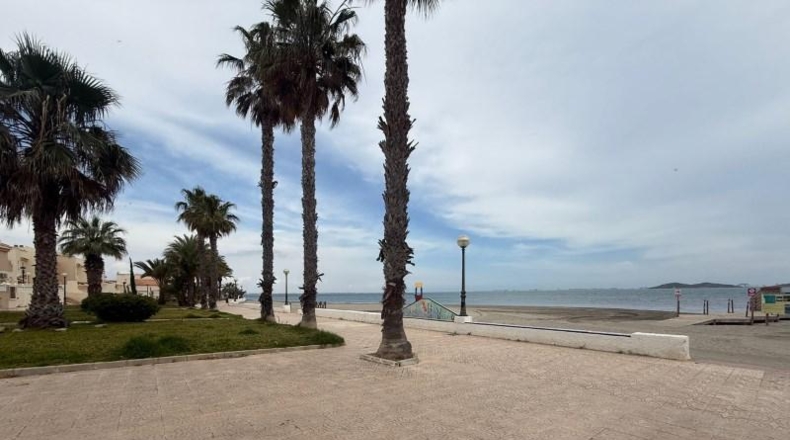 Murcia - Cartagena - 900m2