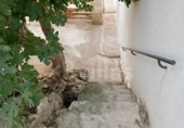 Casa de pueblo en venta en la España, Ciutadella de Menorca, ref: TR413738 foto